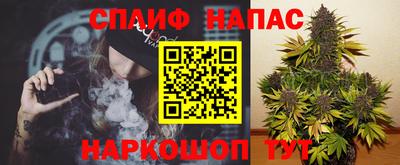 прущие крисы Изобильный