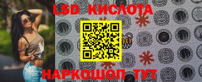 крисы Ирбит