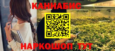 крисы Ирбит