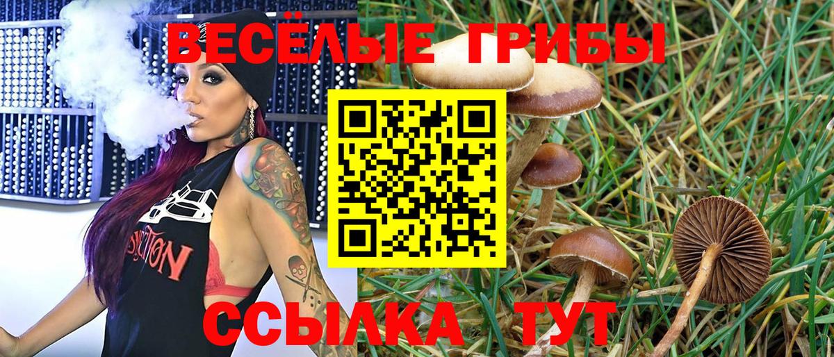 Галлюциногенные грибы прущие грибы  Вход с VPN  Балтийск 